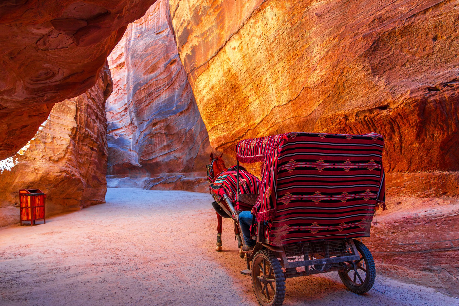 Petra, Jordan: Horse drawning a carriage for tourists transportation to the Treasury through Siq canyon. Middle east travel destination